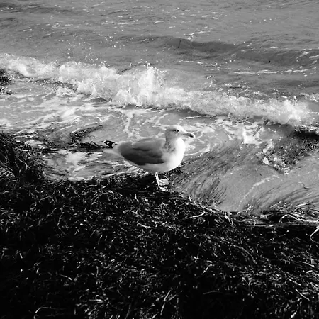 Fehmarn - Ferienresidenz 76- - Seeblick