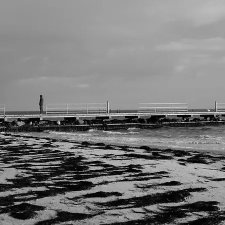 Fehmarn - Ferienresidenz 76- - Seeblick *